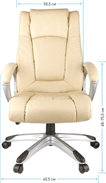 Кресло офисное Helmi Capital HL-E09 / 274838