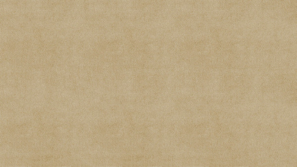 Односпальная кровать Moon Family 1253 / MF013224 - фото