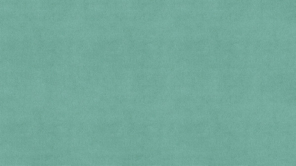 Кровать-тахта Moon Family 1253 / MF013242