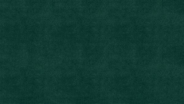 Кровать-тахта Moon Family 1253 / MF013253