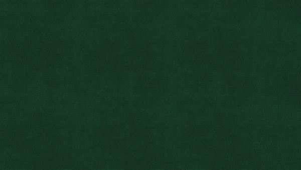 Кровать-тахта Moon Family 1253 / MF013307