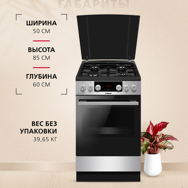 Плита газовая Hansa FCMX59323