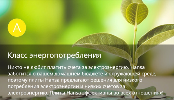 Плита газовая Hansa FCMX58259