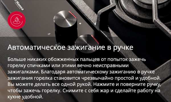 Плита газовая Hansa FCMX58259