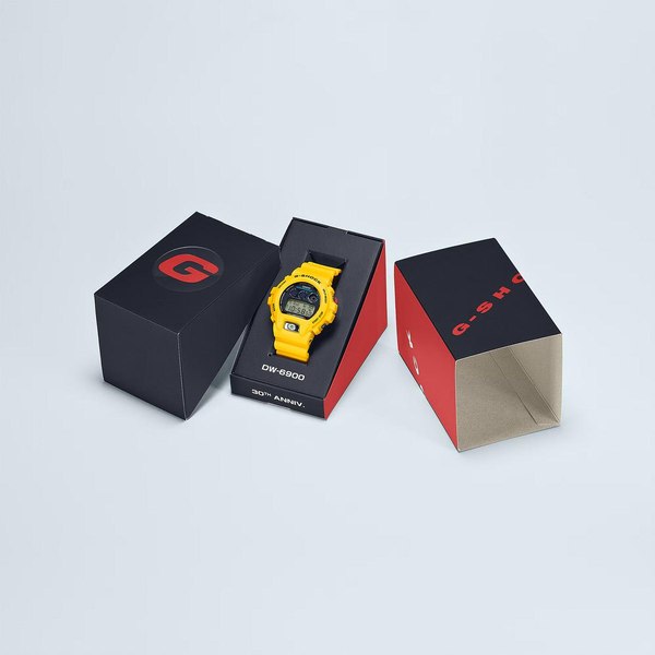 Часы наручные мужские Casio DW-6900TR-9E