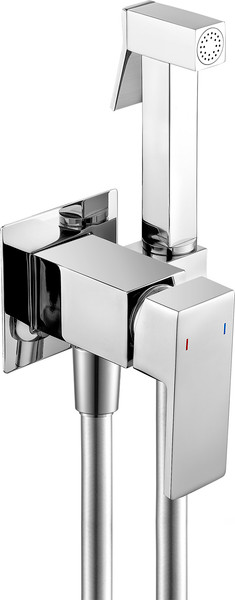 Гигиенический душ со смесителем Lauter Rinse 21GN4051CH