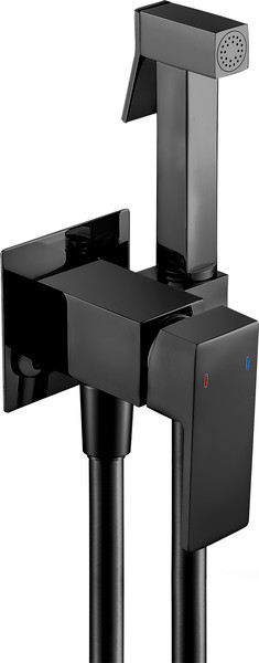 Гигиенический душ со смесителем Lauter Rinse 21GN4052BM