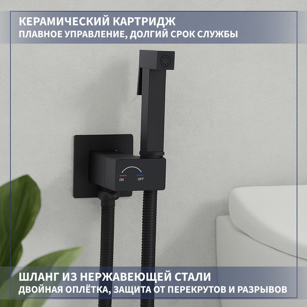 Гигиенический душ со смесителем Lauter Rainix 21LT7712BM