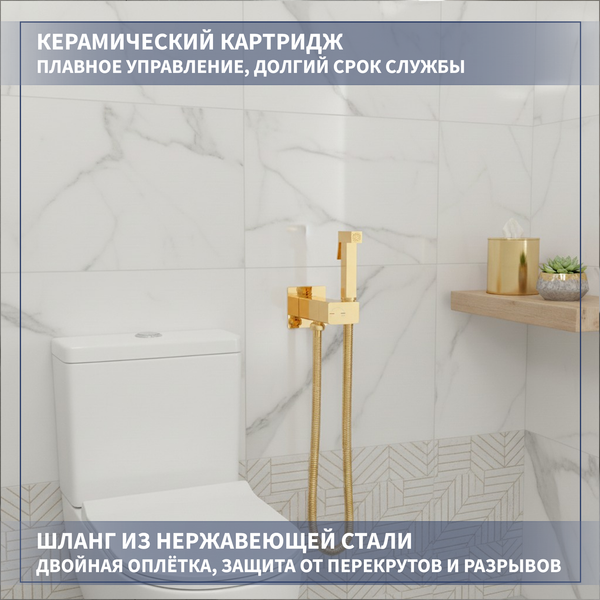 Гигиенический душ со смесителем Lauter Rainix 21LT7714GL