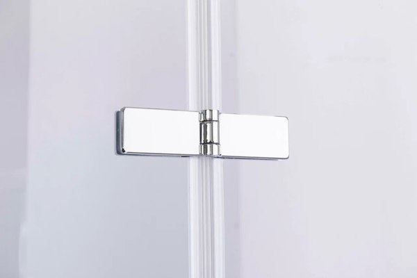 Душевая дверь PELICAN SSW01795