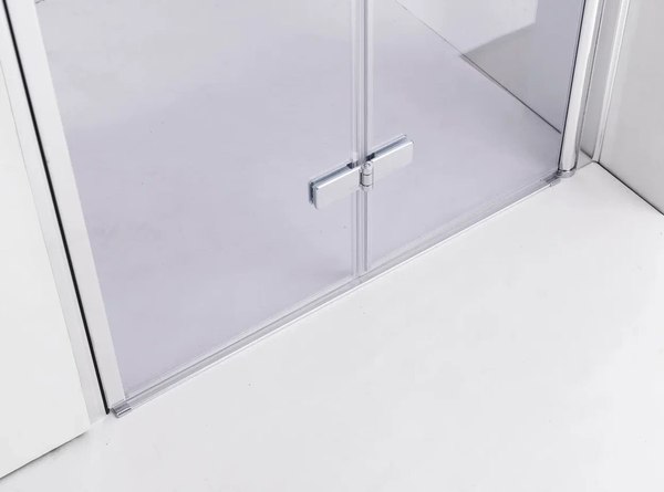 Душевая дверь PELICAN SSW01795