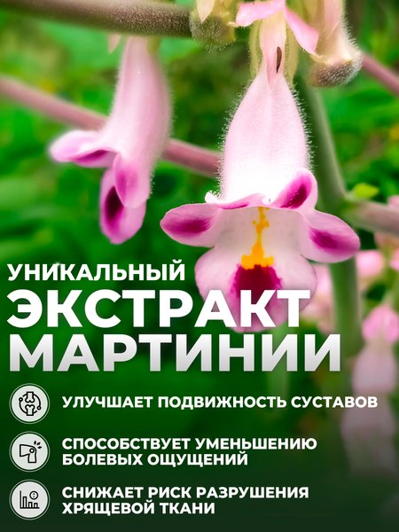 Коллаген 1WIN Морской