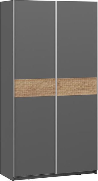 Шкаф-купе ТриЯ Оскар Скания Т2 1200 / 268361 - фото