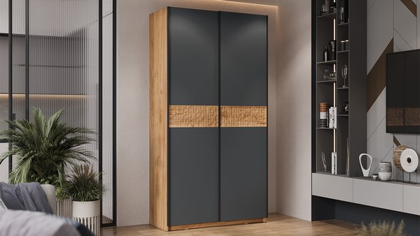 Шкаф-купе ТриЯ Оскар Скания Т2 1200 / 268369