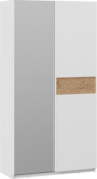 Шкаф-купе ТриЯ Оскар Скания Т2 1200 / 268569 - фото