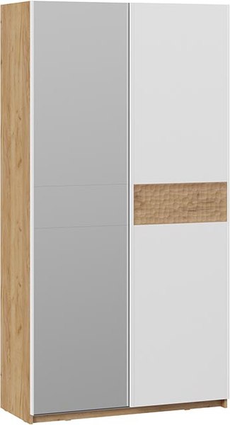 Шкаф-купе ТриЯ Оскар Скания Т2 1200 / 268571 - фото