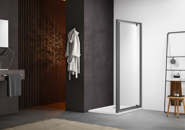 Душевая дверь Aquatek 90x200 / AQ ARI PI 09020GM