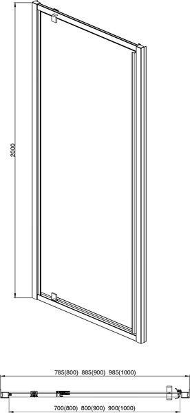 Душевая дверь Aquatek 100x200 / AQ ARI PI 10020GM
