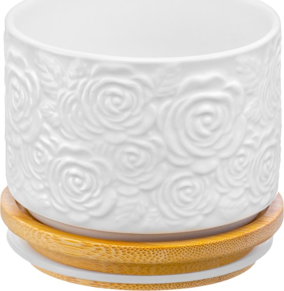 Набор емкостей для хранения Elan Gallery Розы / 540302_6