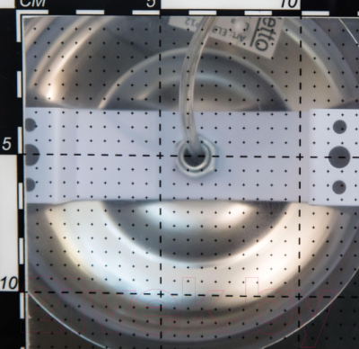 Потолочный светильник Citilux Diva EL339P06