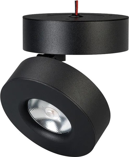 Спот Arlight SP-MONA-SURFACE-R100-12W Warm3000 BK 24deg / 025443(1) - фото