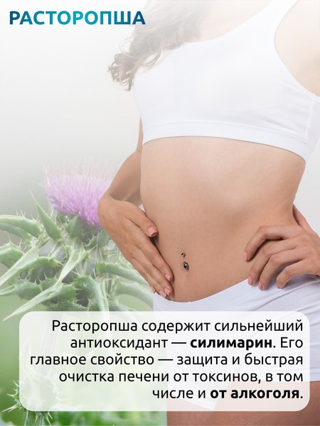 Пищевая добавка SOLAB Organic detox
