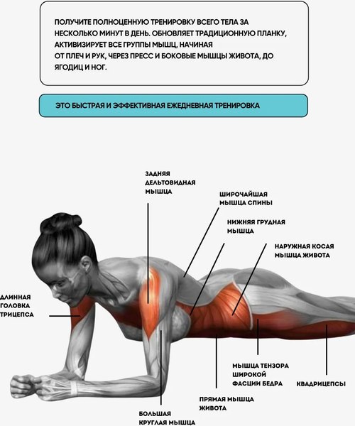 Минитренажер EL15 CS-JFL203