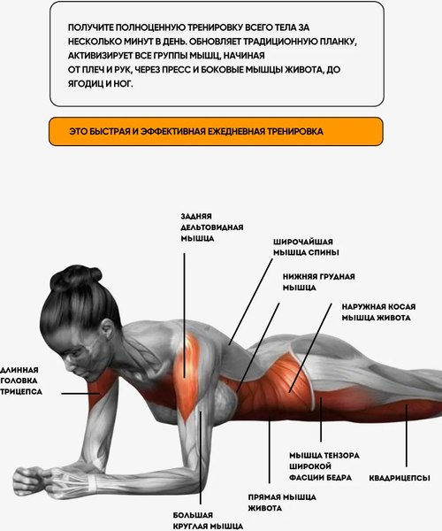 Минитренажер EL15 CS-JFL204