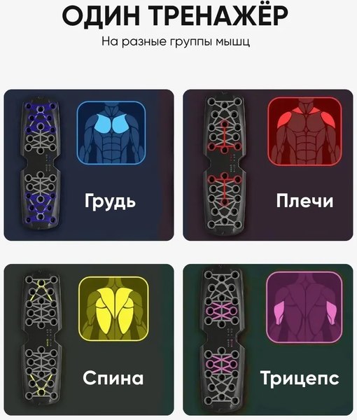 Упоры для отжимания EL15 CS-JFL205