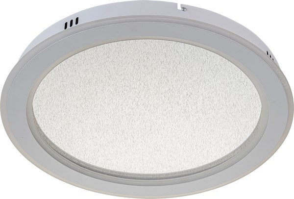 Потолочный светильник ESCADA 607/S LED (белый)