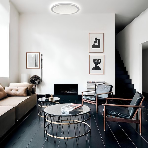 Потолочный светильник ESCADA 607/S LED (белый)