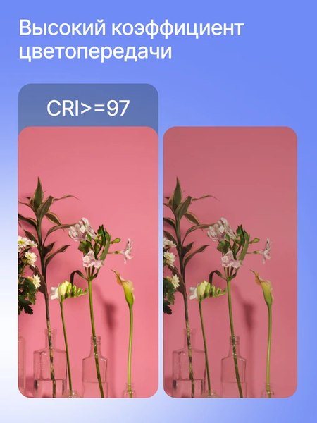 Осветитель студийный RayLab RL-100BI