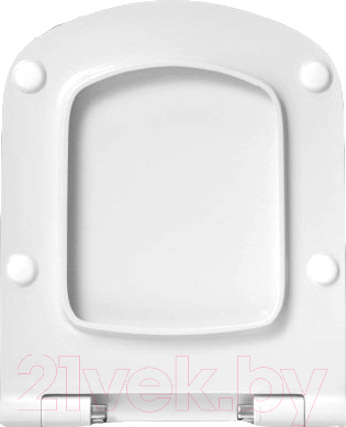 Сиденье для унитаза Roca Dama Senso ZRU9302991