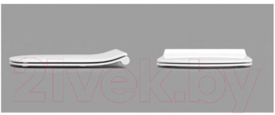 Сиденье для унитаза Roca Dama Senso ZRU9302991