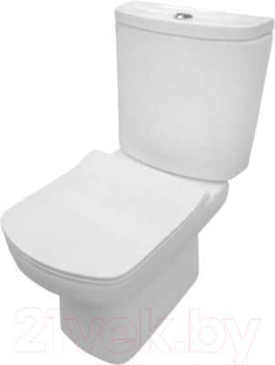 Сиденье для унитаза Roca Dama Senso ZRU9302991