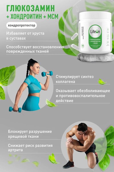 Хондропротектор LifeON Глюкозамин Хондроитин+MSM