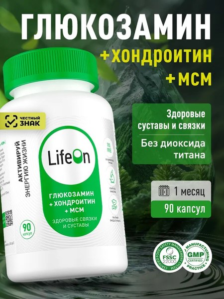 Хондропротектор LifeON Глюкозамин Хондроитин+MSM
