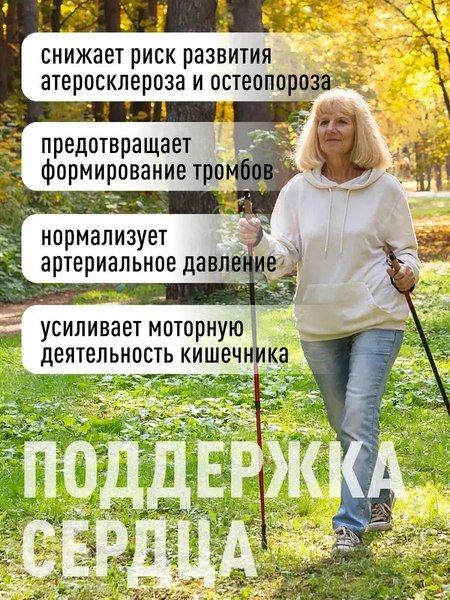 Витаминно-минеральный комплекс LifeON Магний + Витамин В6