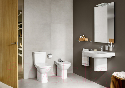 Унитаз напольный Roca Debba 734299700Y + 734199100Y + 8019D0004