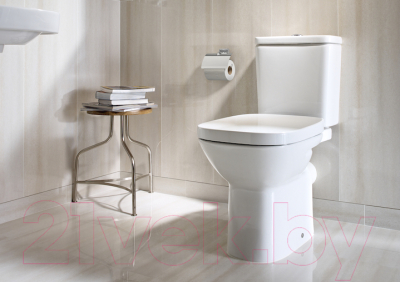 Унитаз напольный Roca Debba 734299700Y + 734199100Y + 8019D0004