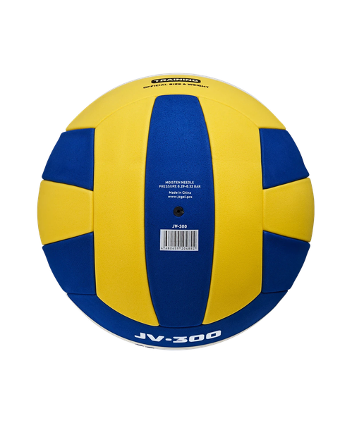 Мяч волейбольный Jogel JV-300 BC23
