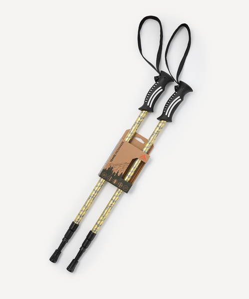 Палки для скандинавской ходьбы Berger Travel Pacemaker BTP25NP3-01