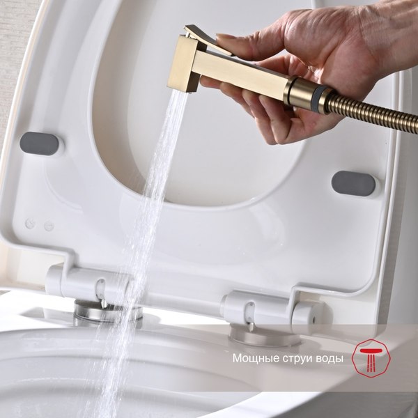 Гигиенический душ со смесителем Raglo R01.52.03