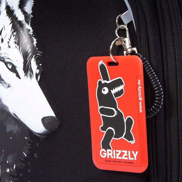 Школьный рюкзак Grizzly RAz-587-2