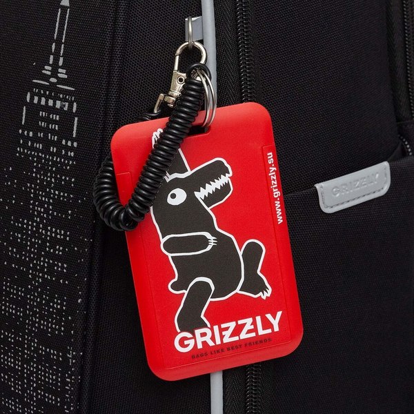 Школьный рюкзак Grizzly RAf-593-6