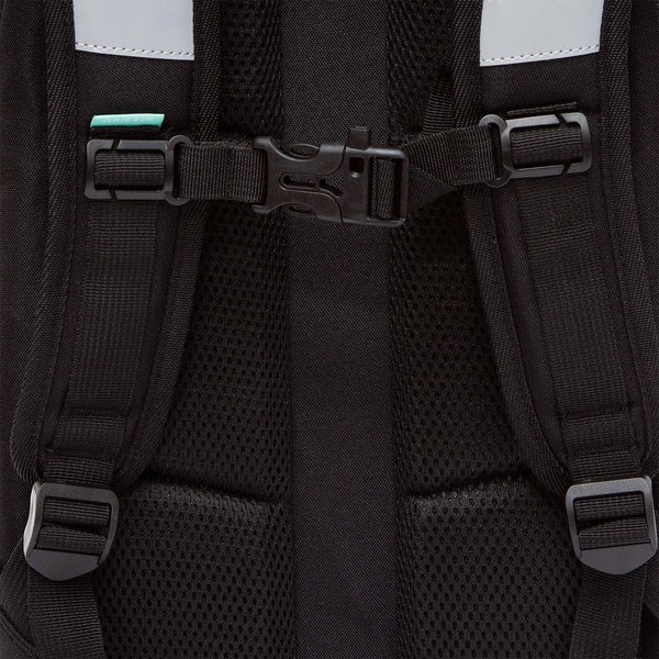 Школьный рюкзак Grizzly RAw-594-12