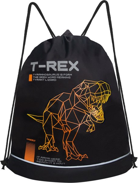 Мешок для обуви Grizzly OM-51-117 - фото