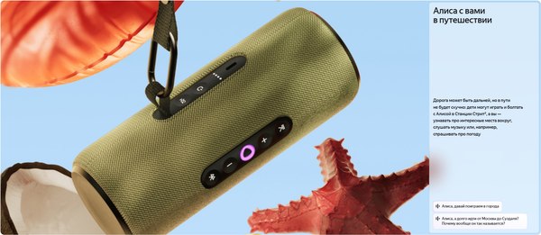 Умная портативная колонка Яндекс Станция Стрит YNDX-00030BLK