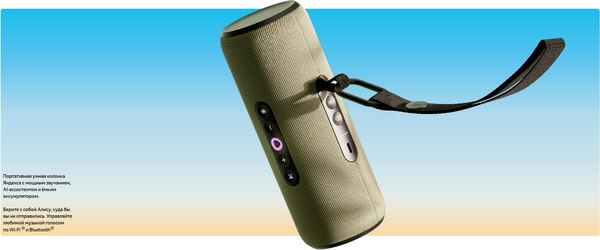 Умная портативная колонка Яндекс Станция Стрит YNDX-00030GRN