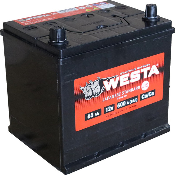 Автомобильный аккумулятор Westa Asia 6СТ-65 VL рус СТА00011 - фото